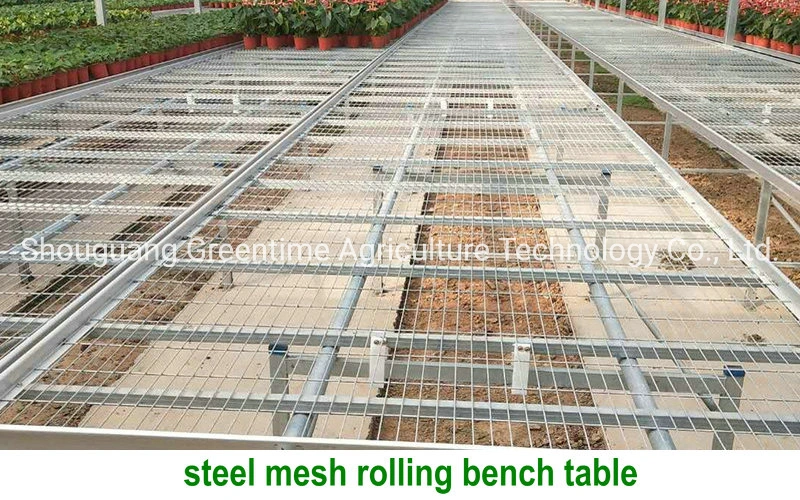 4X8 FT Customized Medical Plants Verical Grow Rack Multi Tier Mobile Flood Rolling Bench Table