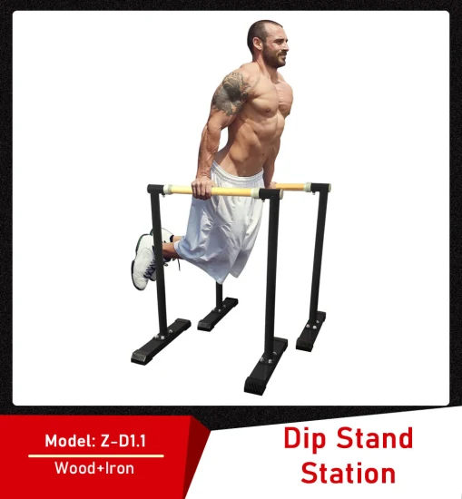 Supporto per stazione DIP per barra push up - Perfetto per attrezzature fitness domestiche e in garage - Ginnastica, ginnastica ritmica, allenamento della forza, barre parallele per uomini e donne