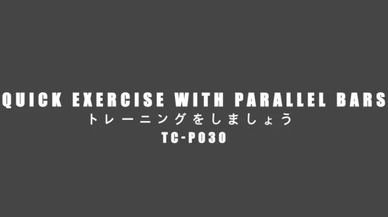 Attrezzatura per il fitness di forza Palestra DIP Bar Stabilizzatore Parallele Push Up Stand030